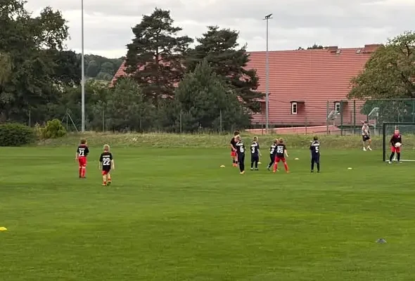 Żaki z KS Fenix Pielgrzymka zagrały w turnieju DZPN w Wilkowie
